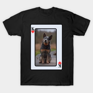 Blue Cattle Dog T-Shirt